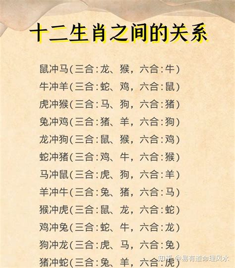 12生肖合|十二生肖三合、六合、相冲详解